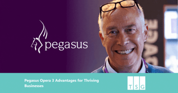 Pegasus Opera 3 Advantages for Thriving Businesses